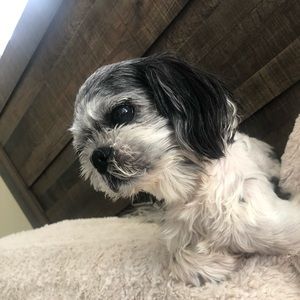 Meet your Posher, Marilou